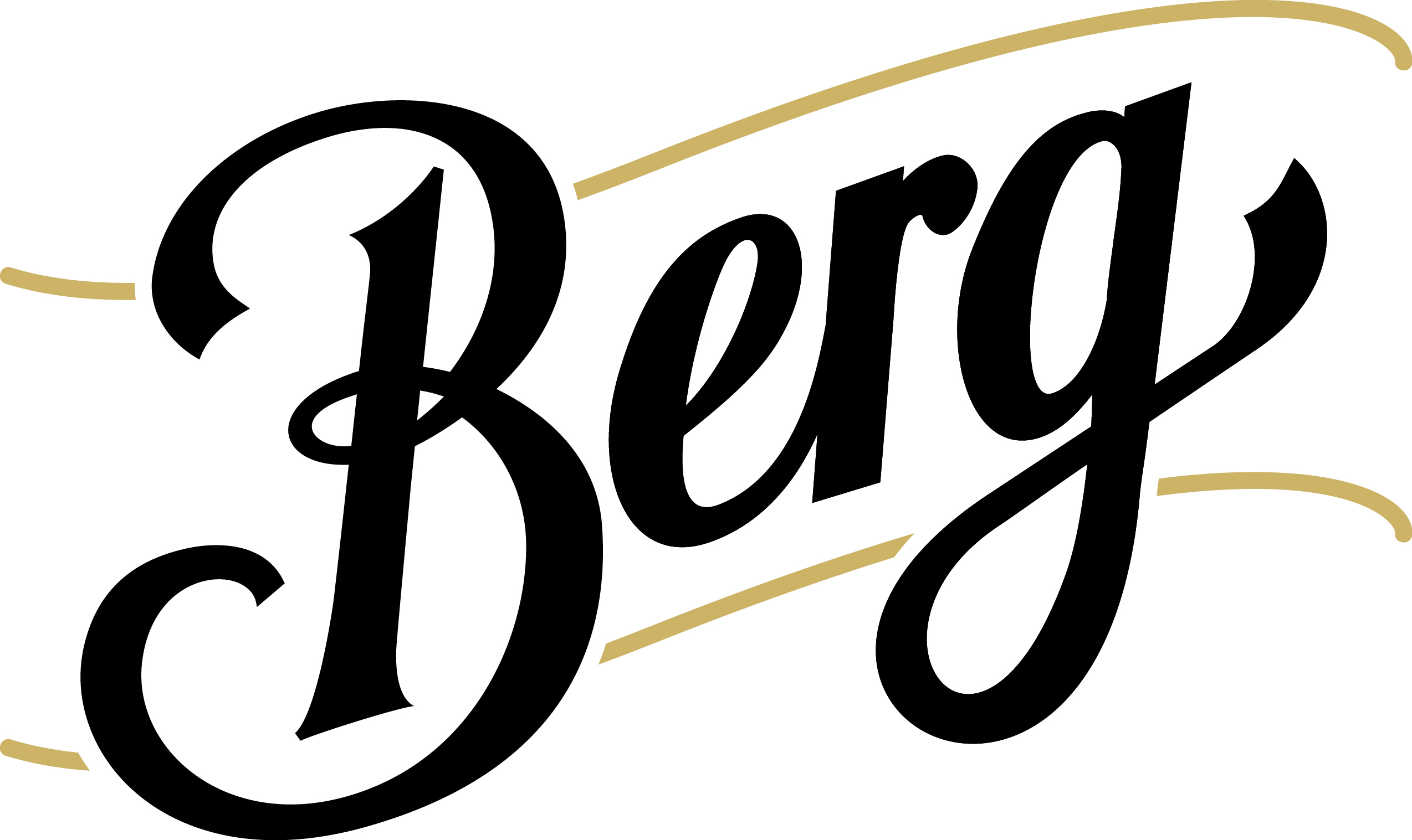 Bergbier